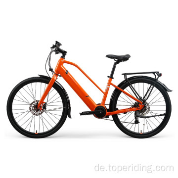 Customized Segway Electric Bike